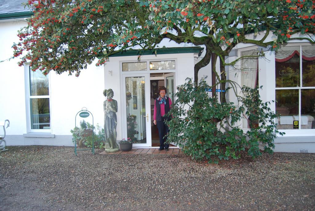 Grange Lodge Country House Dungannon Esterno foto