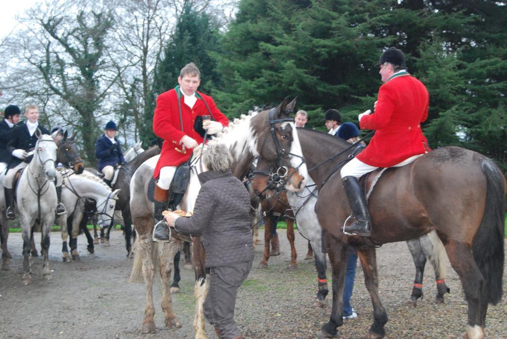 Grange Lodge Country House Dungannon Esterno foto