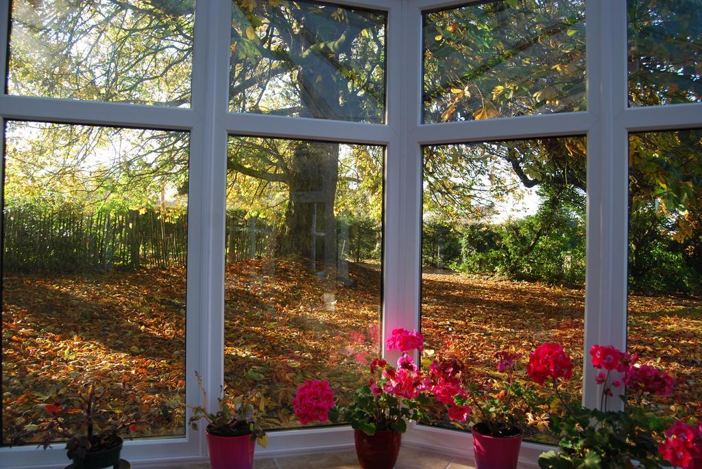 Grange Lodge Country House Dungannon Esterno foto